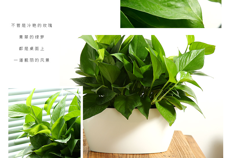 TB2pq77qXXXXXbrXXXXXXXXXXXX_!!1113401174.jpg TB2pq77qXXXXXbrXXXXXXXXXXXX_!!1113401174.jpg