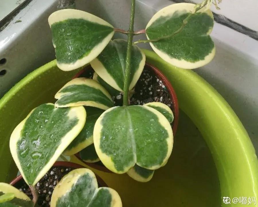 微信图片_20211123154917.jpg 微信图片_20211123154917.jpg