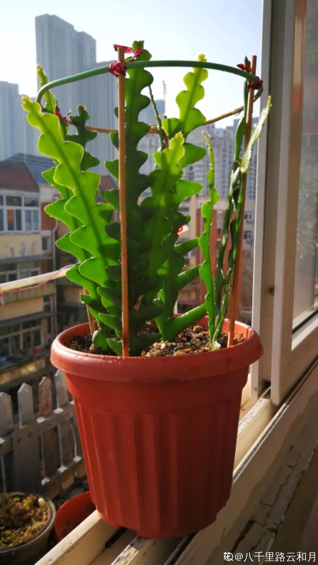 微信图片_20211123155012.jpg 微信图片_20211123155012.jpg