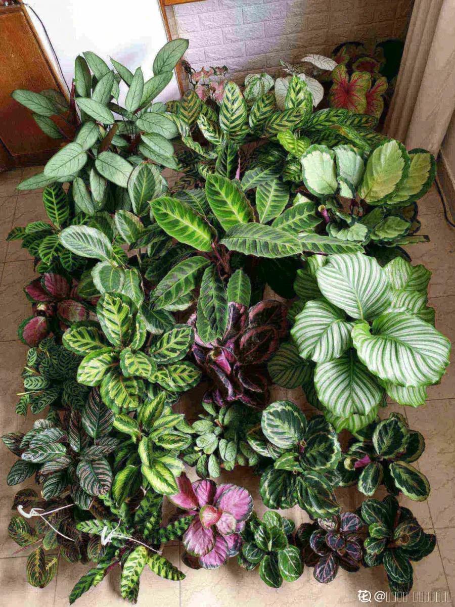 微信图片_20211123155019.jpg 微信图片_20211123155019.jpg