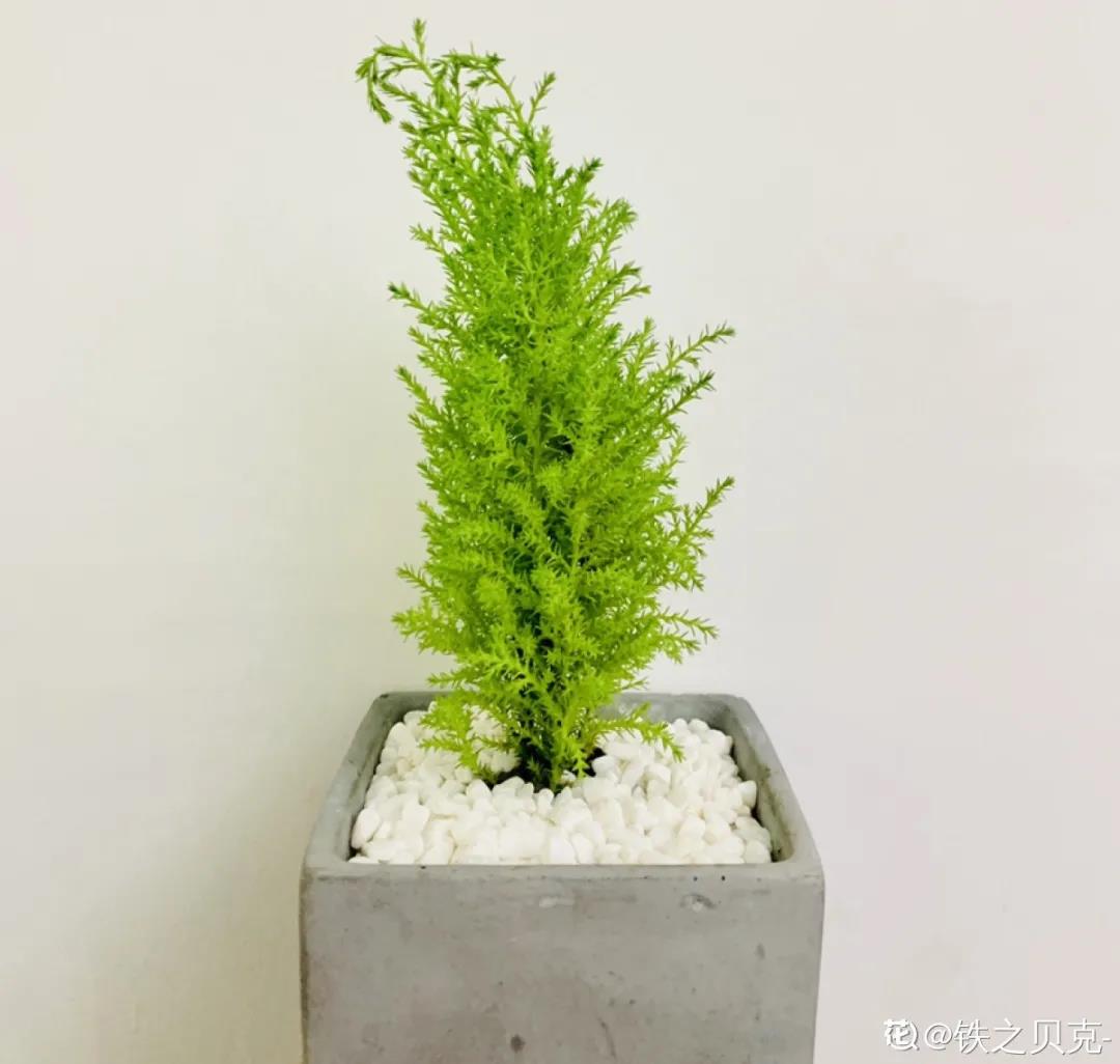 微信图片_20211123155056.jpg 微信图片_20211123155056.jpg