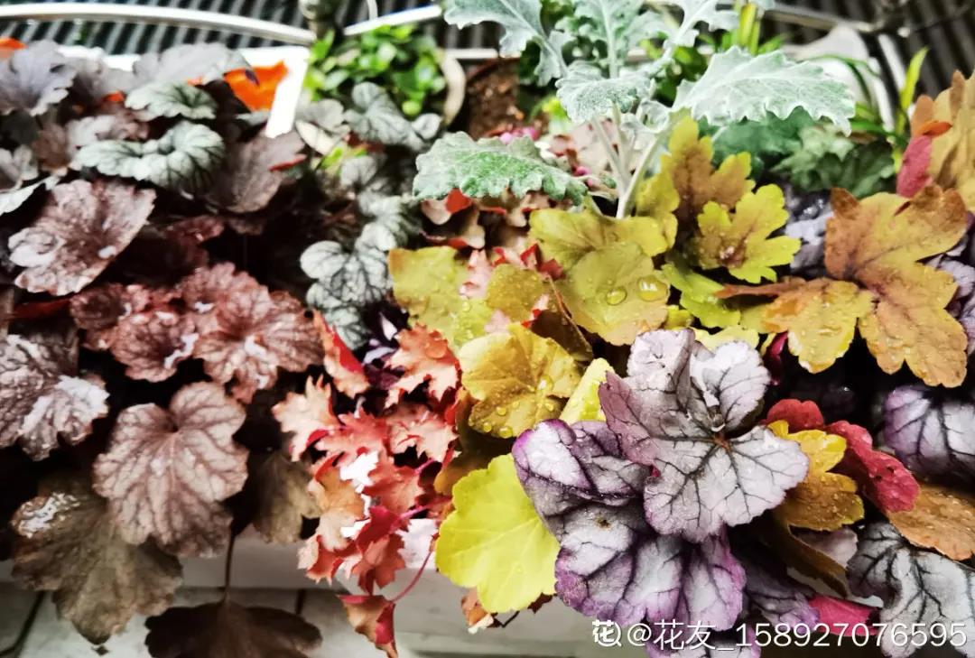 微信图片_20211123155216.jpg 微信图片_20211123155216.jpg